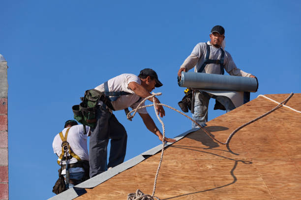 Best Flat Roof Repair Services  in Parshall, ND