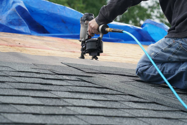 Best Roof Restoration Services  in Parshall, ND