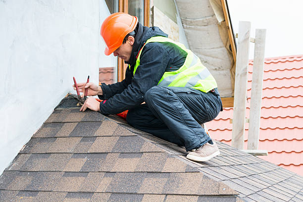 Best Roof Repair Services  in Parshall, ND