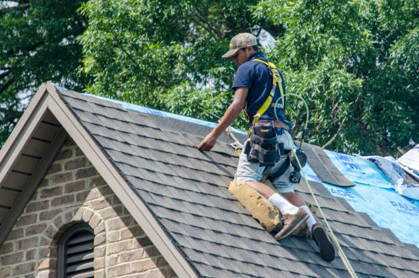 Best Storm Damage Roof Repair  in Parshall, ND
